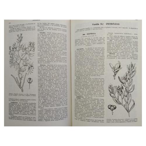 PLANTAS MEDICINALES: EL DIOSCÓRIDES RENOVADO