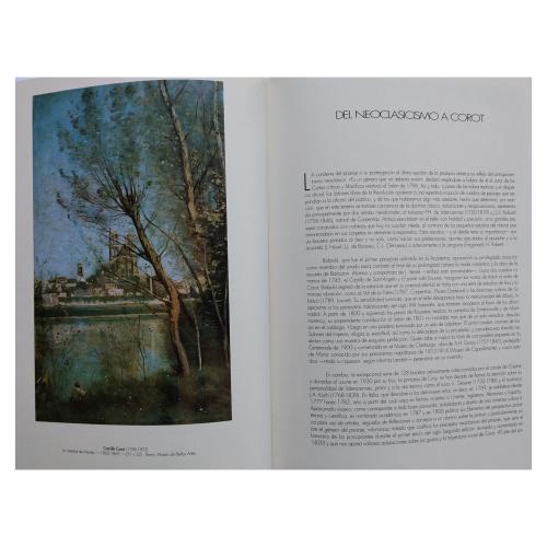 LA PINTURA FRANCESA:  EL SIGLO XIX