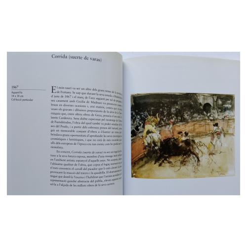 OCHO LIBROS DE LA COLECCIÓN GRANS GENIS DE L'ART A CATALUNYA