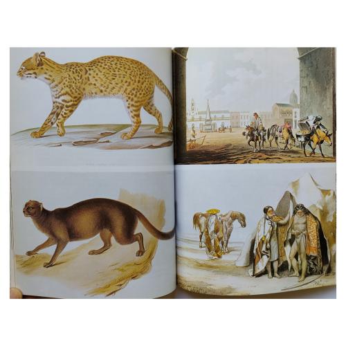 DOS LIBROS SOBRE LA EXPEDICIÓN DE DARWIN EN EL BEAGLE
