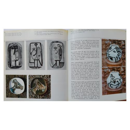 DOS LIBROS SOBRE PICASSO