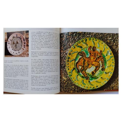 DOS LIBROS SOBRE PICASSO