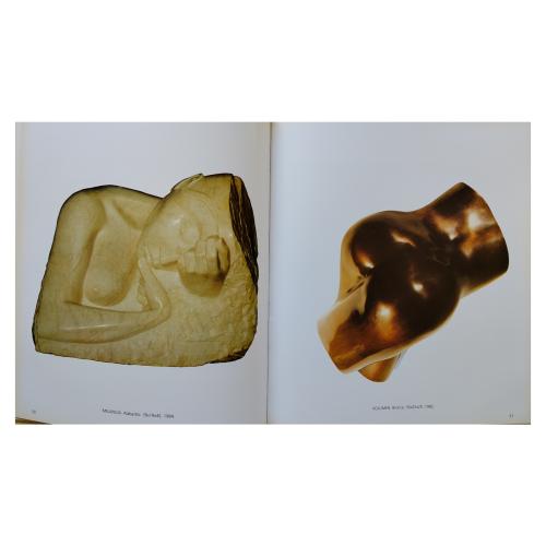 CUATRO LIBROS SOBRE ARTISTAS CONTEMPORÁNEOS 