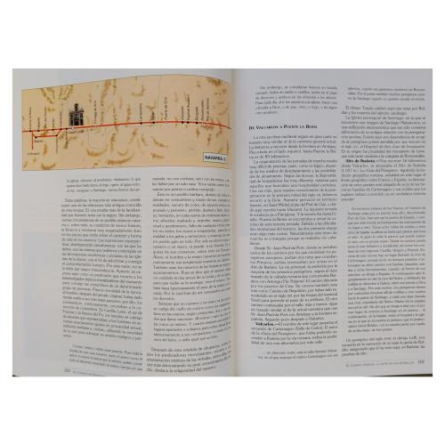 DOS LIBROS SOBRE EL CAMINO DE SANTIAGO