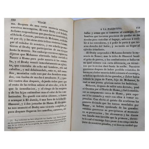 VIAJE A LA PALESTINA