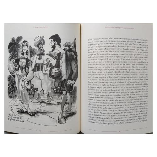 DON QUIJOTE DE LA MANCHA