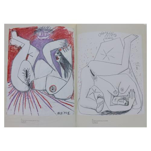 PICASSO:  LA COLLECTION SECRÈTE