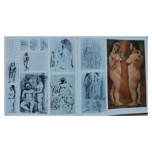 PICASSO VIVENT (1881-1907)