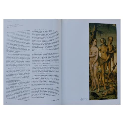 MIRAR UN CUADRO EN EL MUSEO DEL PRADO