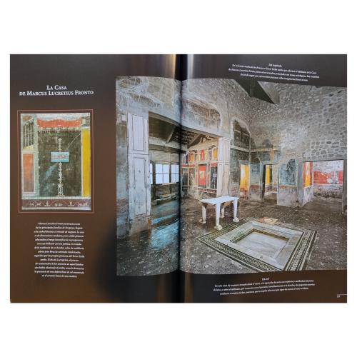 POMPEYA:  HISTORIA, VIDA Y ARTE DE LA CIUDAD SEPULTADA