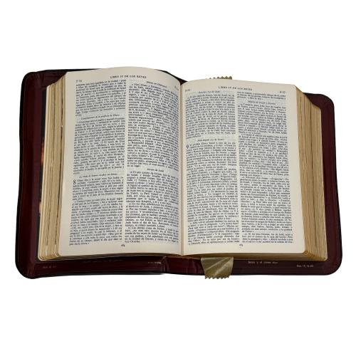 LA SAGRADA BIBLIA