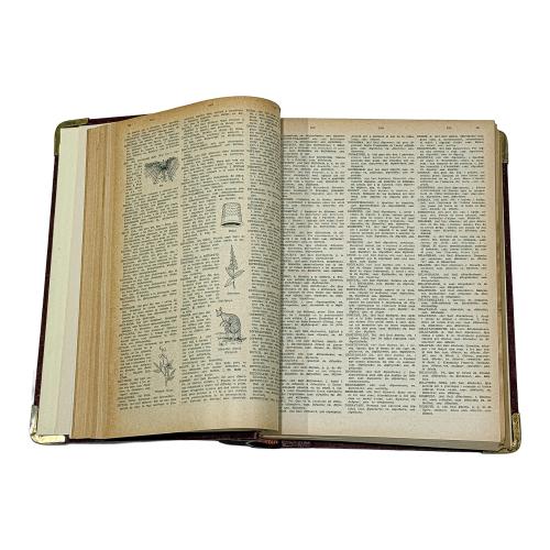 DICCIONARI ILLUSTRAT PALLAS