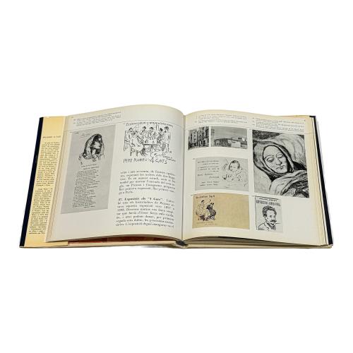 PICASSO A CATALUNYA 