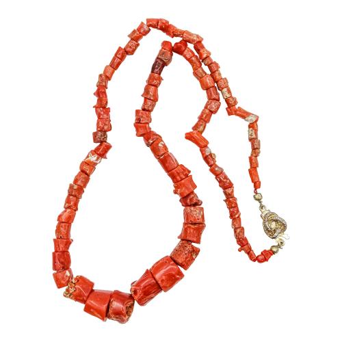 COLLAR DE CORAL RAÍZ