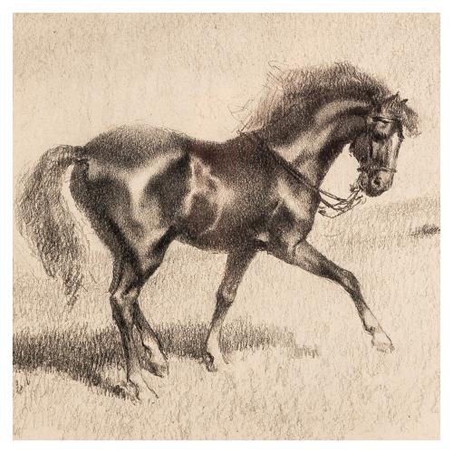 ARENYS I GALDÓN, RICARD