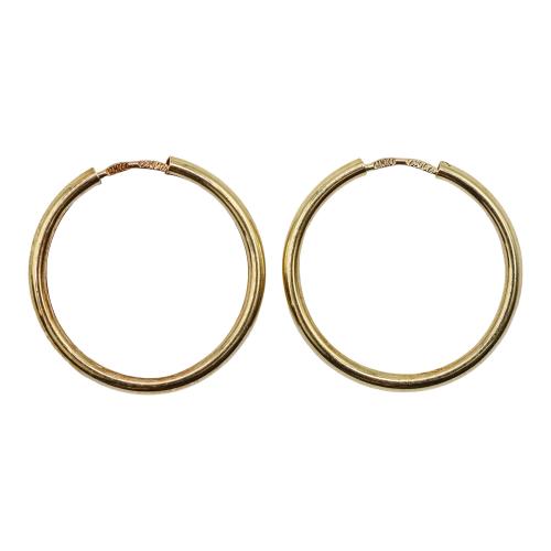 PENDIENTES ARGOLLA 