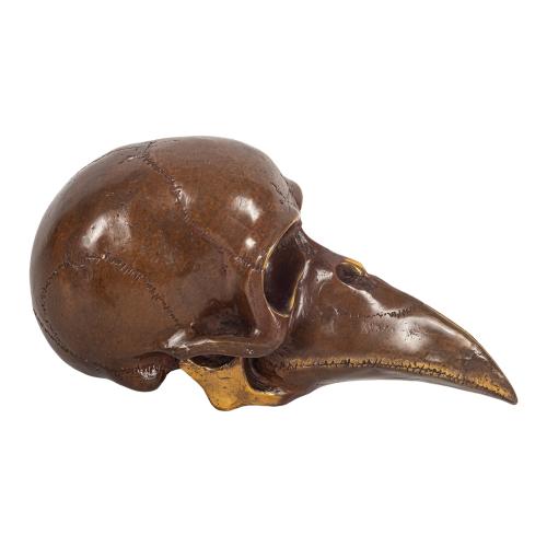 CALAVERA-PAJARO DEL ÚLTIMO CUARTO DE SIGLO XX