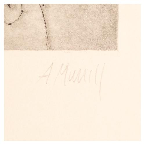 MUNILL, ANTONI