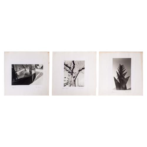 COLECCIÓN DE 15 FOTOGRAFÍAS FIRMADAS PEDRO MONTENEGRO