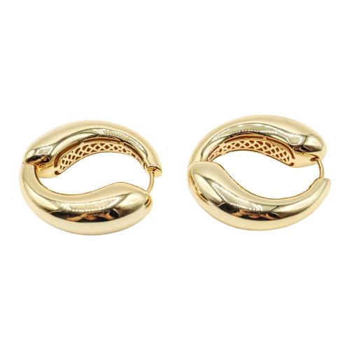 PENDIENTES ARGOLLA