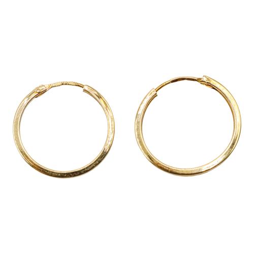 PENDIENTES ARGOLLA